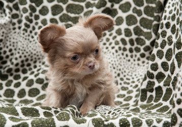 Similar image 20058349