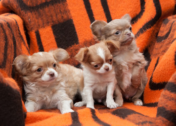 Similar image 20058351