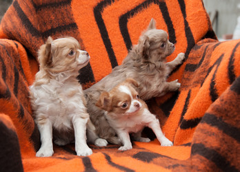 Similar image 20058353