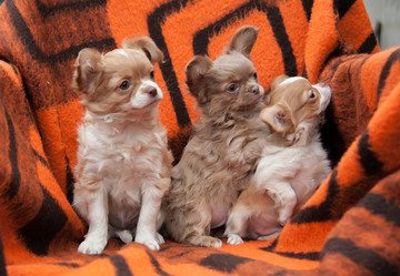 Similar image 20058355