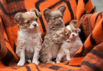 Similar image 20058356