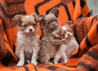 Similar image 20058357