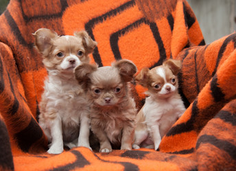 Similar image 20058359