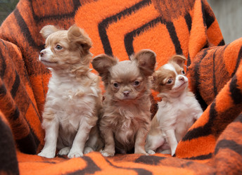 Similar image 20058379