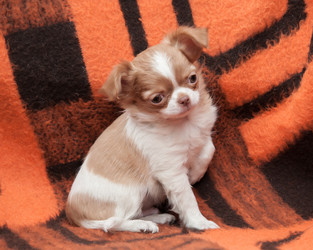 Similar image 20058376