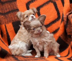 Similar image 20058378