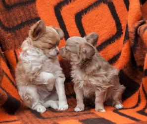 Similar image 20058380