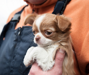 Similar image 20058389