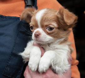 Similar image 20058382