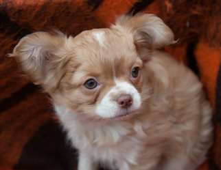 Similar image 20058384