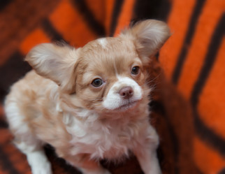 Similar image 20058385