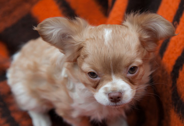 Similar image 20058386