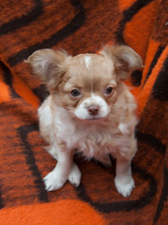 Similar image 20058387