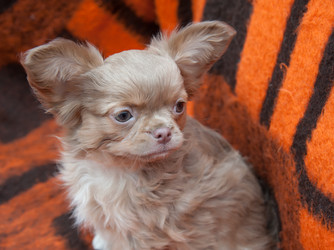 Similar image 20058395