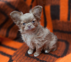 Similar image 20058399