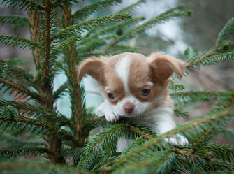 Similar image 20058415