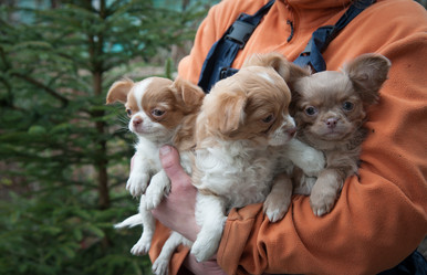 Similar image 20058401