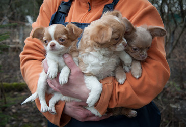 Similar image 20058402