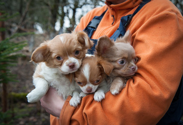 Similar image 20058403