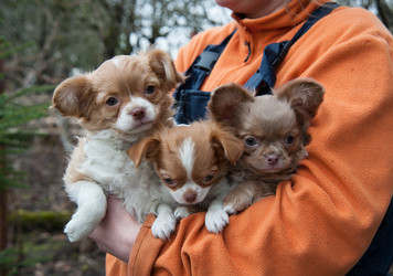 Similar image 20058405