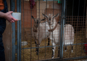 Similar image 20058406