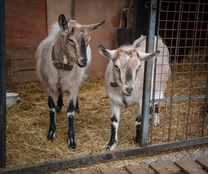 Similar image 20058407