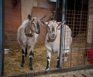 Similar image 20058408