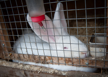 Similar image 20058410