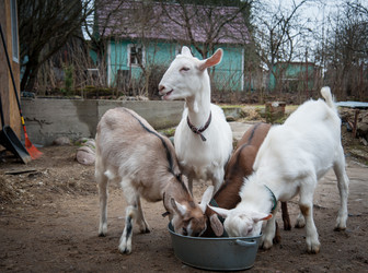 Similar image 20058424