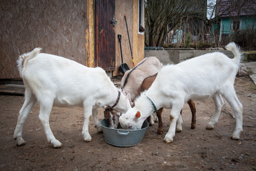 Similar image 20058426