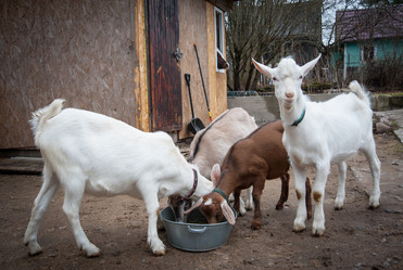 Similar image 20058427