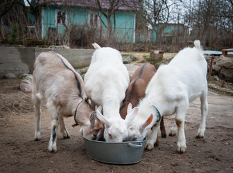 Similar image 20058428