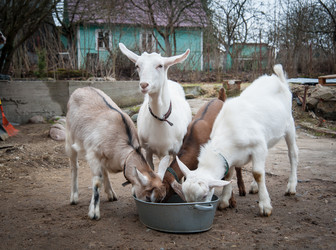 Similar image 20058472