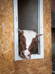 Similar image 20058478