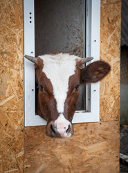 Similar image 20058479