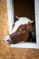 Similar image 20058483