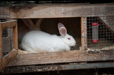 Similar image 20058484