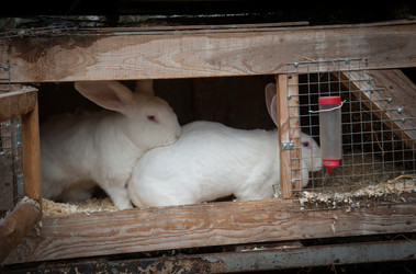 Similar image 20058485