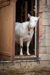 Similar image 20058486