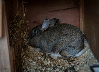 Similar image 20058490