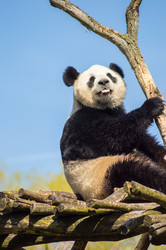 Similar image 20121843