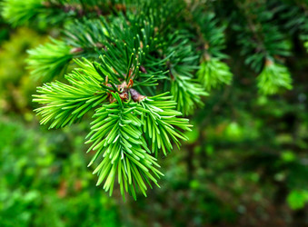 Similar image 20058934