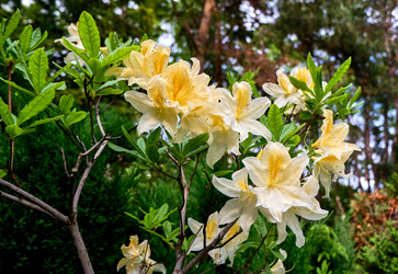 Similar image 20058935