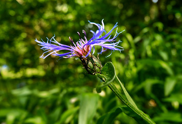 Similar image 20058936