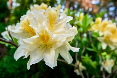 Similar image 20058937