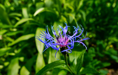 Similar image 20058967