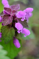 Similar image 20058968