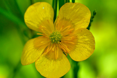 Similar image 20058970