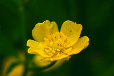 Similar image 20058972