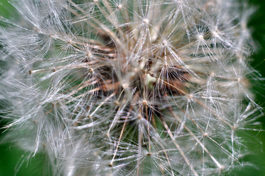 Similar image 19951730